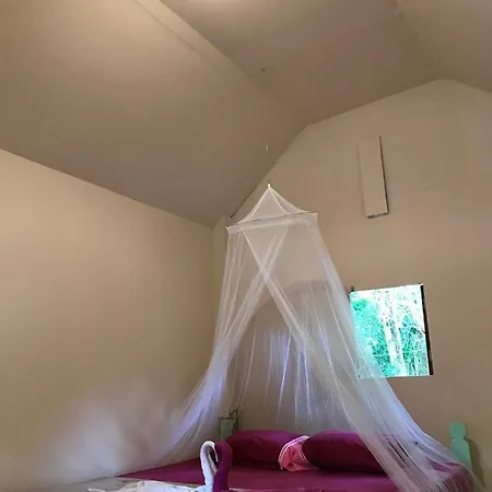 Rasta Baby Bar & Bungalows - Suitable For Young Travelers Koh Phayam Exterior foto