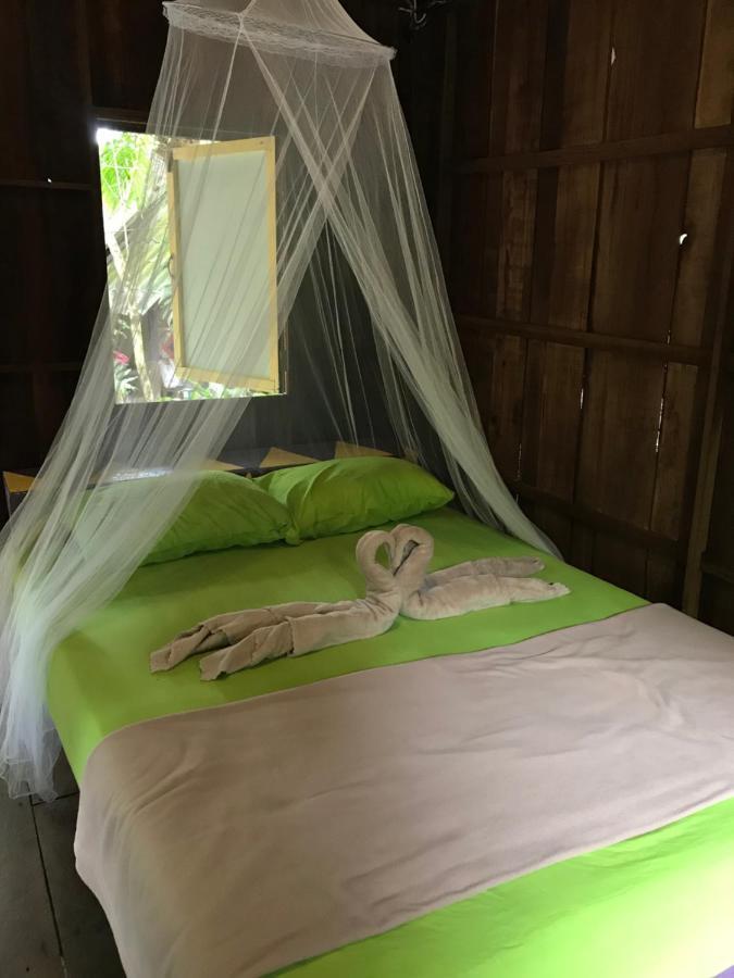 Rasta Baby Bar & - Suitable For Young Travelers Hotel
